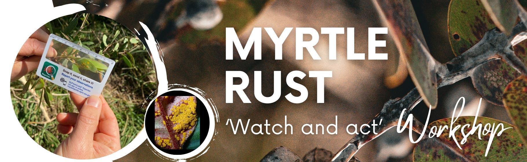 Myrtle Rust 'Watch and Act' Workshop