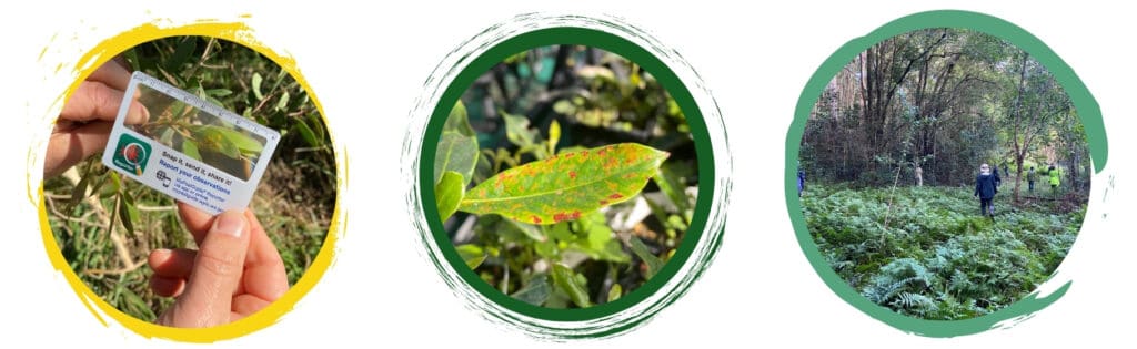 Myrtle Rust Surveillance Training Course 1